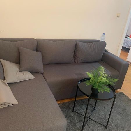 Vila Miletić Vrnjačka Banja Dış mekan fotoğraf
