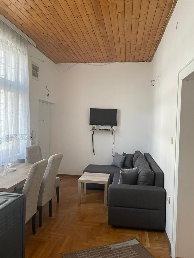 Vila Miletić Vrnjačka Banja Dış mekan fotoğraf