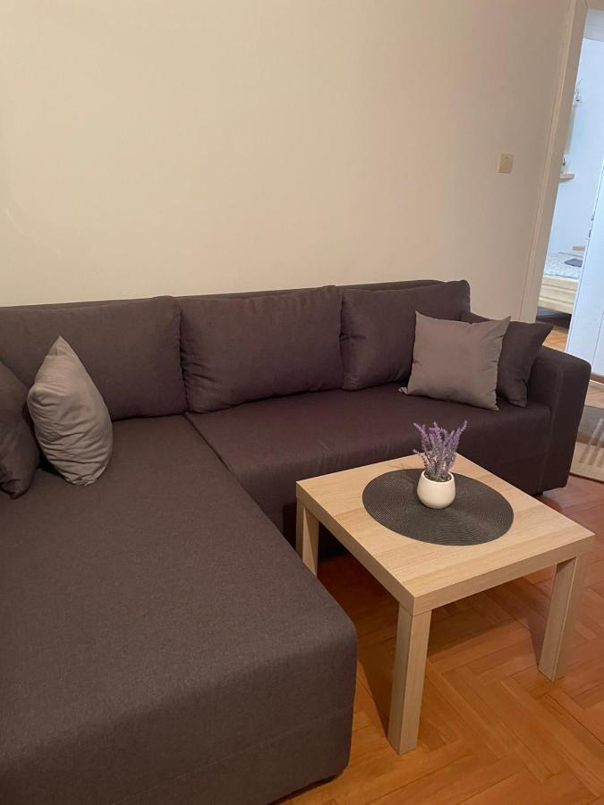 Vila Miletić Vrnjačka Banja Dış mekan fotoğraf