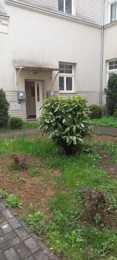 Vila Miletić Vrnjačka Banja Dış mekan fotoğraf