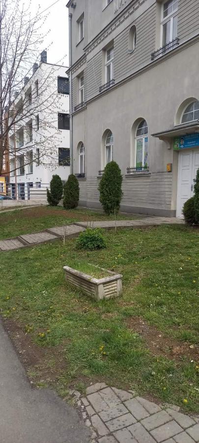 Vila Miletić Vrnjačka Banja Dış mekan fotoğraf