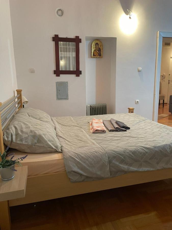 Vila Miletić Vrnjačka Banja Dış mekan fotoğraf