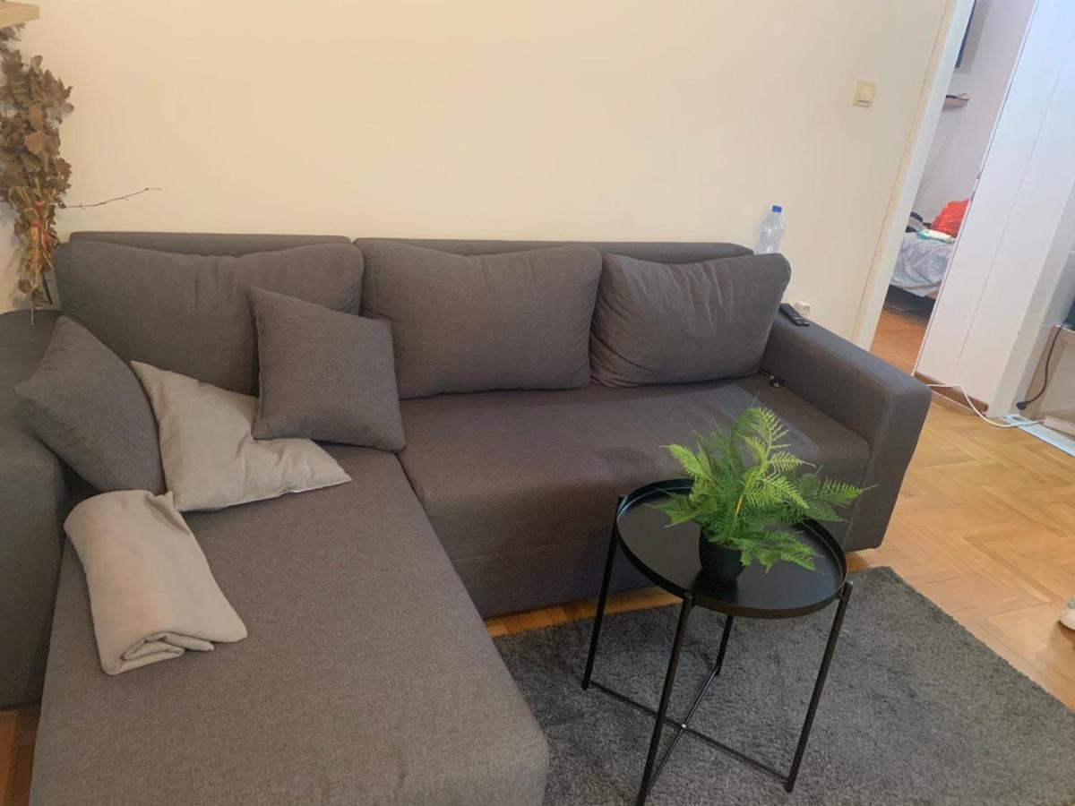 Vila Miletić Vrnjačka Banja Dış mekan fotoğraf